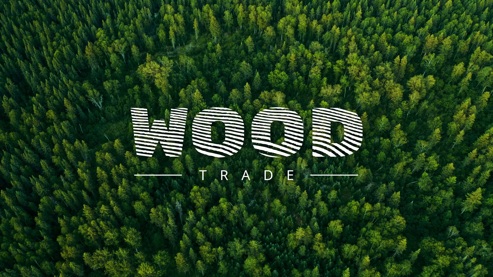 Разработка интернет-магазина компании «Wood Trade» в Заводоуковске